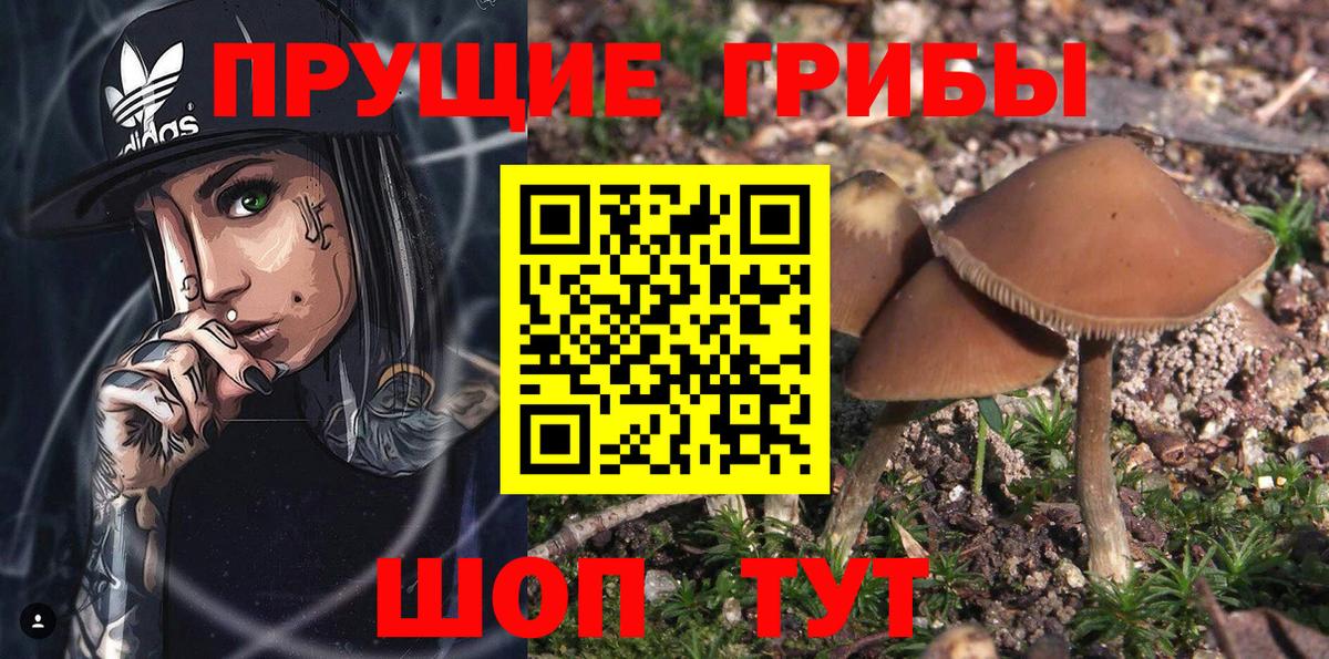 Коряжма  Галлюциногенные грибы ЛСД  Вход с VPN 