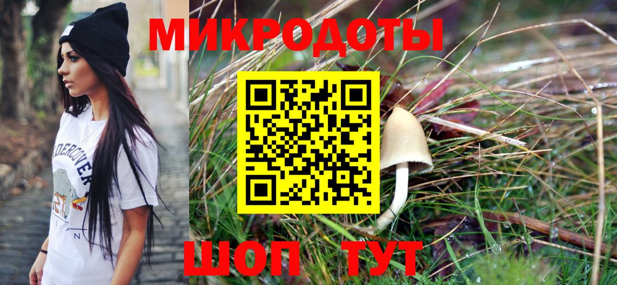 Галлюциногенные грибы Cubensis Коряжма
